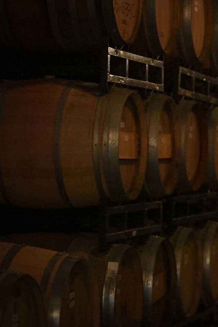 Wine